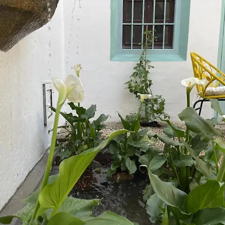 公寓 Palacete Del Aguila *